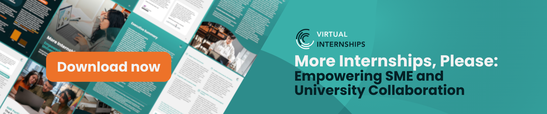 More Internships, Please: Report from Virtual Internships for Universities and SMEs